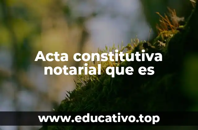 Acta constitutiva notarial que es