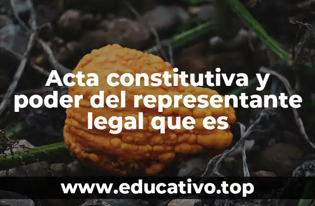 Acta constitutiva y poder del representante legal que es