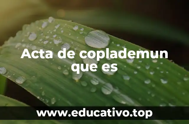 La importancia de los documentos formales en Coplademun