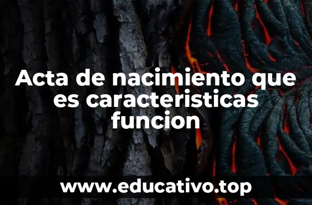 Acta de nacimiento que es caracteristicas funcion