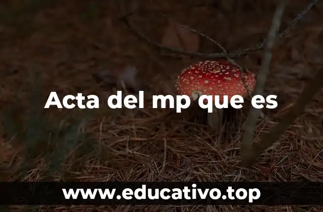 Acta del mp que es