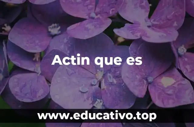 Actin que es