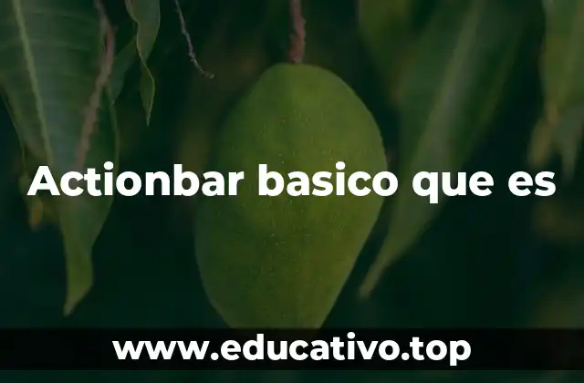 El rol del actionbar en la experiencia del usuario