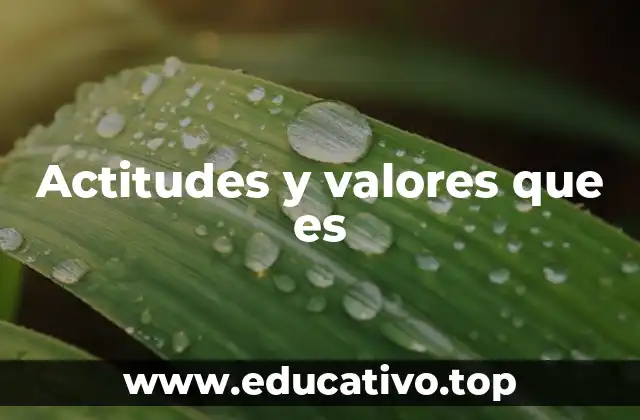 Cómo las actitudes y valores moldean el comportamiento