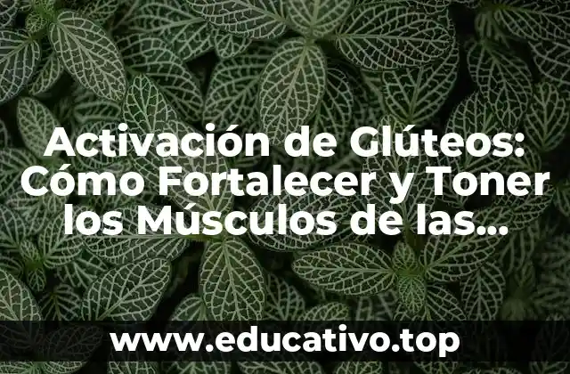 Activación de Glúteos: Cómo Fortalecer y Toner los Músculos de las Nalgas