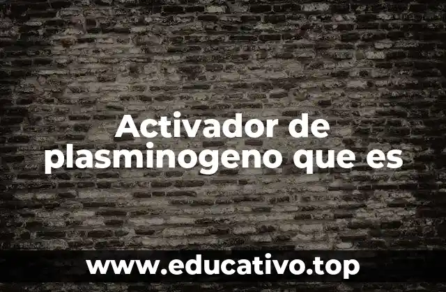 Activador de plasminogeno que es