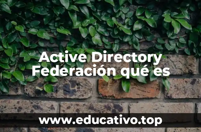 Active Directory Federación qué es