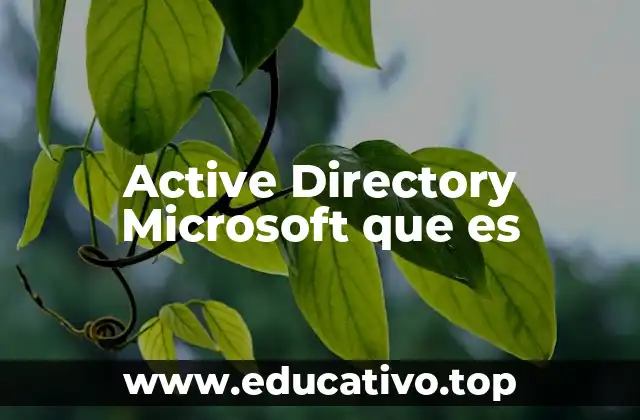 Active Directory Microsoft que es