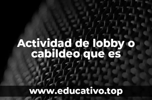 El impacto del lobby en la toma de decisiones públicas