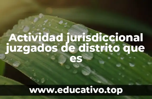 Actividad jurisdiccional juzgados de distrito que es