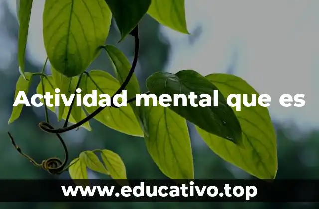 Actividad mental que es