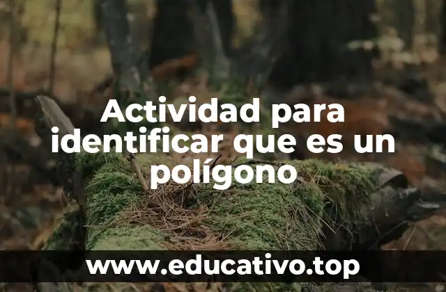 Introducción a las actividades de identificación geométrica