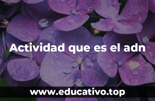 Actividad que es el adn