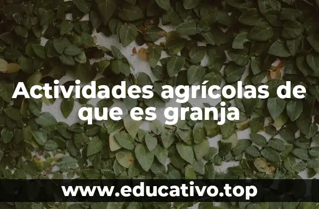 Actividades agrícolas de que es granja