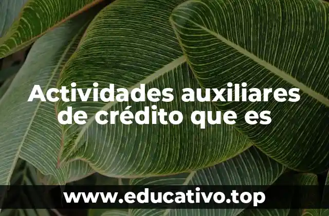 Actividades auxiliares de crédito que es