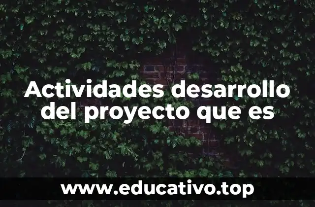 Actividades desarrollo del proyecto que es