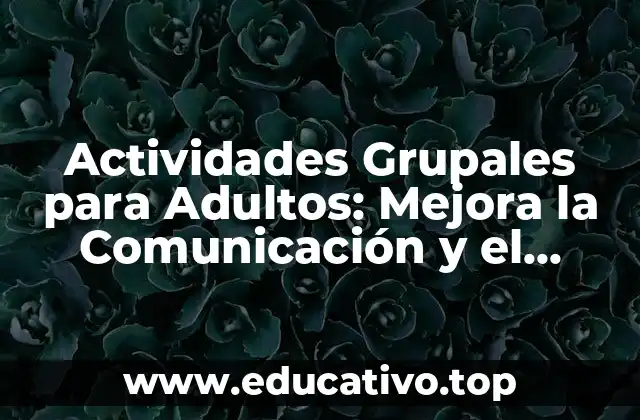 Actividades Grupales para Adultos: Mejora la Comunicación y el Trabajo en Equipo