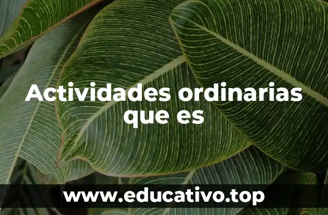Actividades ordinarias que es