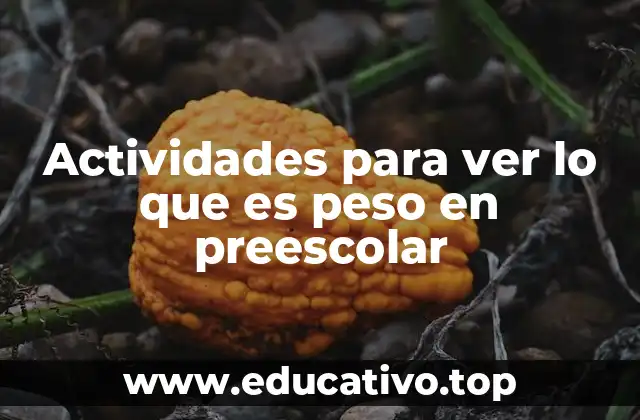 Actividades para ver lo que es peso en preescolar
