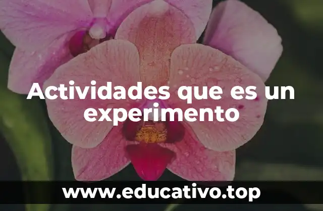 Actividades que es un experimento