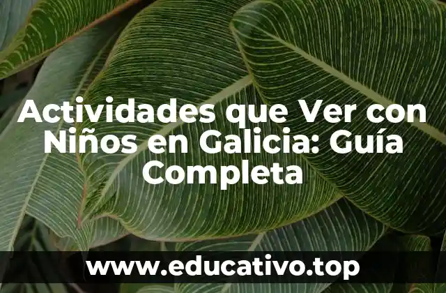 Actividades que Ver con Niños en Galicia: Guía Completa