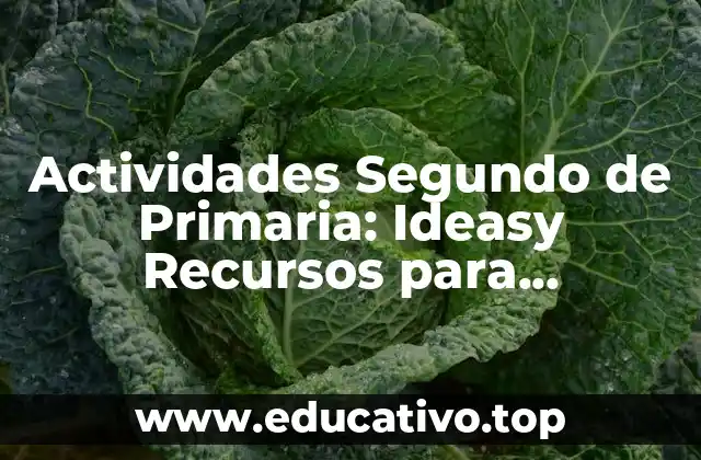 Actividades Segundo de Primaria: Ideasy Recursos para Profesionales
