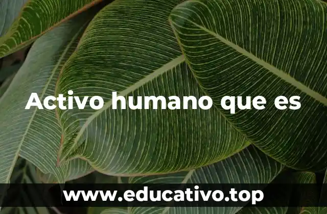 Activo humano que es