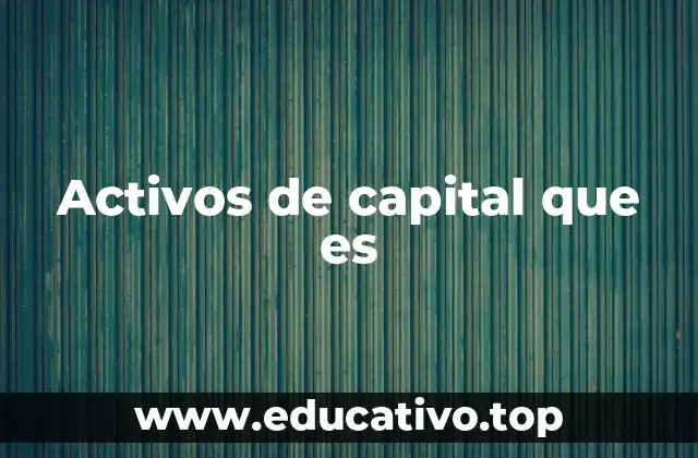 Activos de capital que es