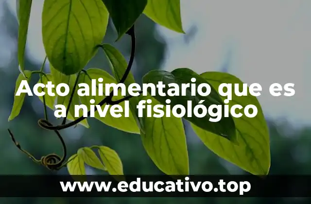 Acto alimentario que es a nivel fisiológico