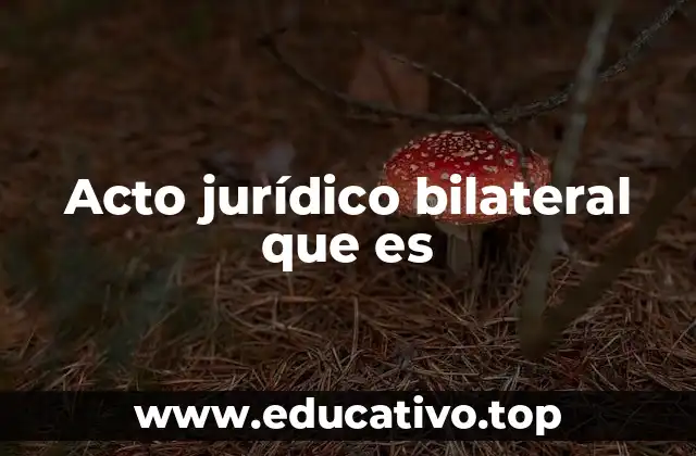 Acto jurídico bilateral que es