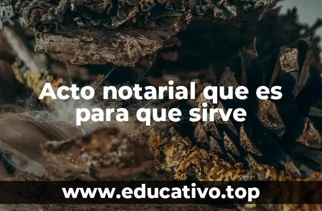 Acto notarial que es para que sirve