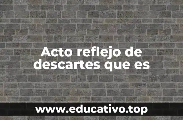 Acto reflejo de descartes que es