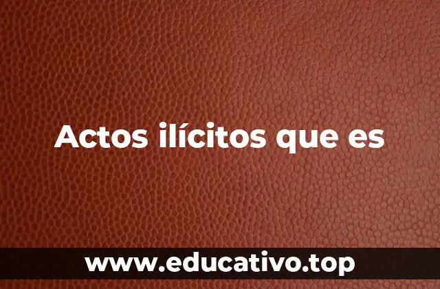 Actos ilícitos que es