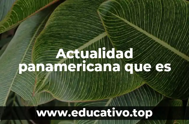 Actualidad panamericana que es
