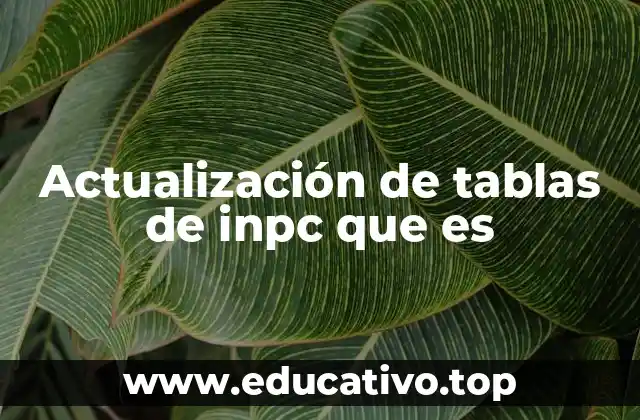 Actualización de tablas de inpc que es