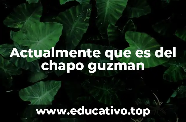 Actualmente que es del chapo guzman