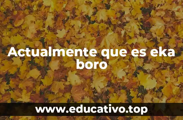 Actualmente que es eka boro