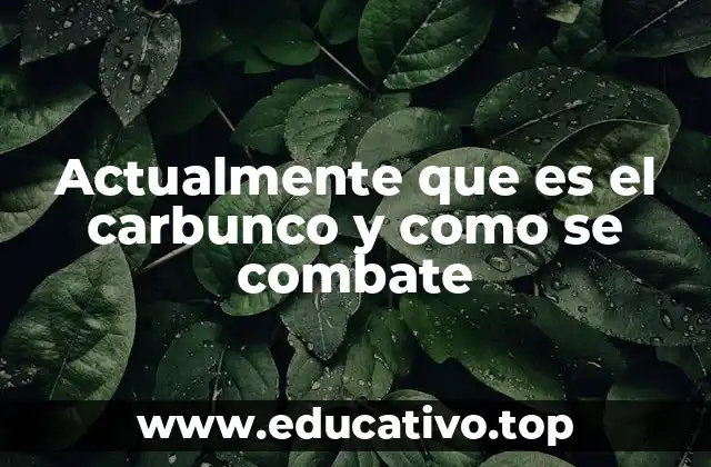 Actualmente que es el carbunco y como se combate