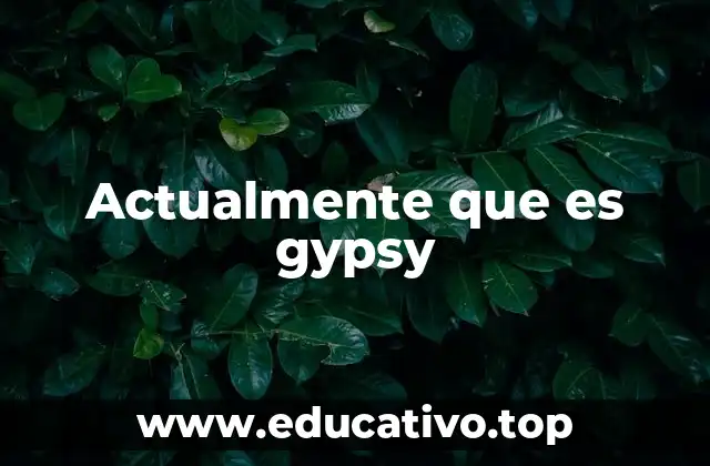 Actualmente que es gypsy