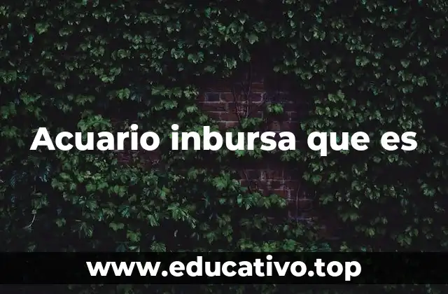 Acuario inbursa que es