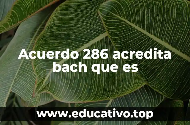 Acuerdo 286 acredita bach que es