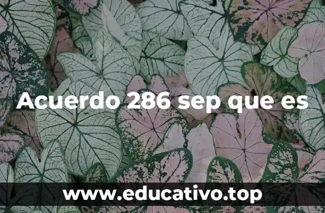 Acuerdo 286 sep que es