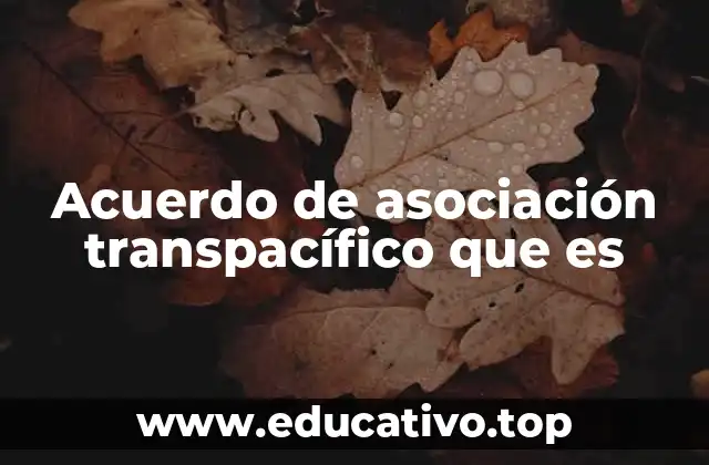 Acuerdo de asociación transpacífico que es