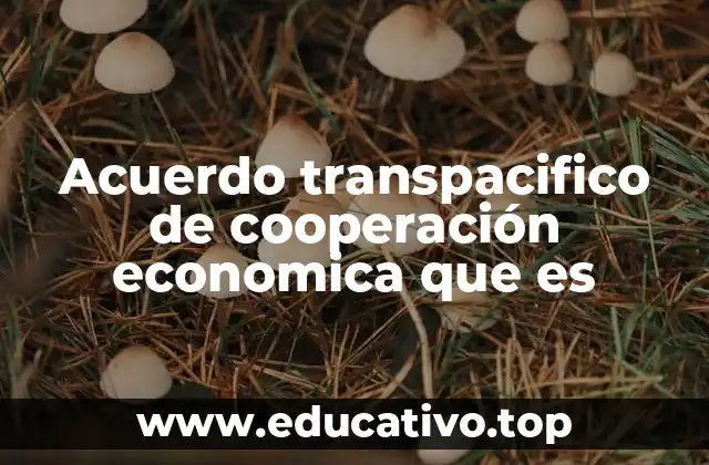 Acuerdo transpacifico de cooperación economica que es