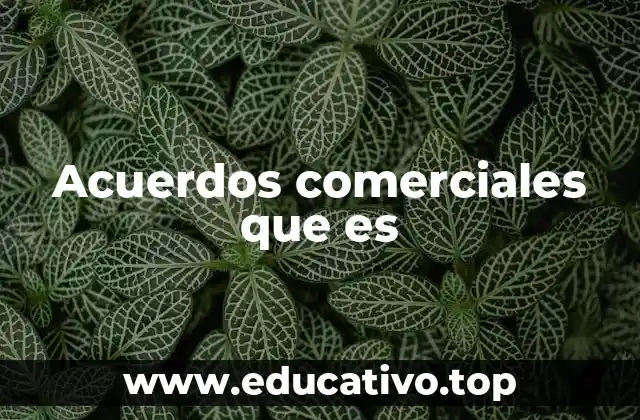 Acuerdos comerciales que es