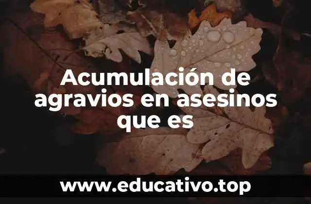 Acumulación de agravios en asesinos que es