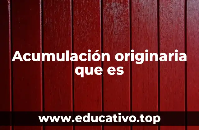 Acumulación originaria que es