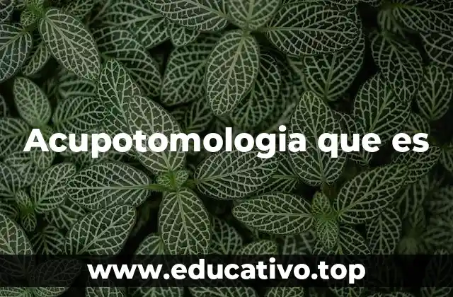 Acupotomologia que es