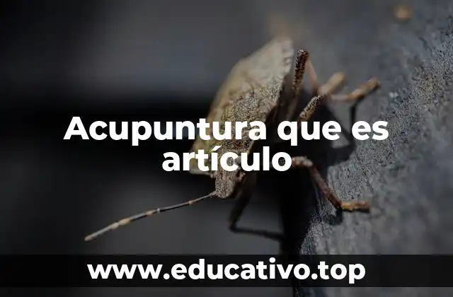 Acupuntura que es artículo