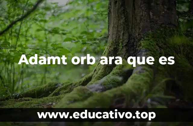 Adamt orb ara que es